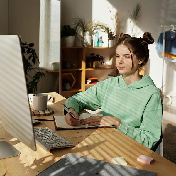 We offer One-on-One online Vietnamese language lessons